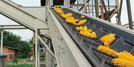 Ленточные конвейеры штучного груза и зерна